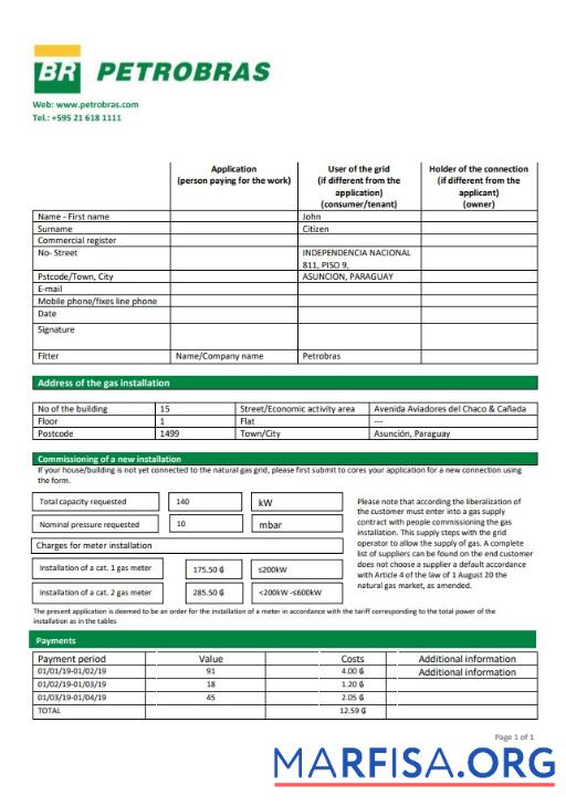 Realistic Paraguay Petrobras Paraguay Operations and Logistics gas company utility bill template in Word and PDF format